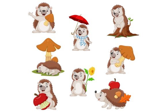 Cartoon Funny Little Hedgehog Bundles for Graphics and Illustrations
