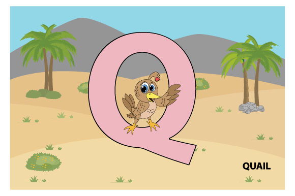 Funny Quail with the Letter Q Review