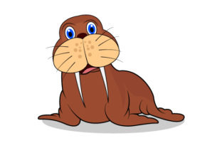 Funny Walrus Graphics for Modern Illustrations