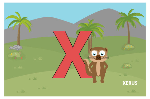 Funny Xerus with the Letter X: A Fresh Graphics and Illustrations Review